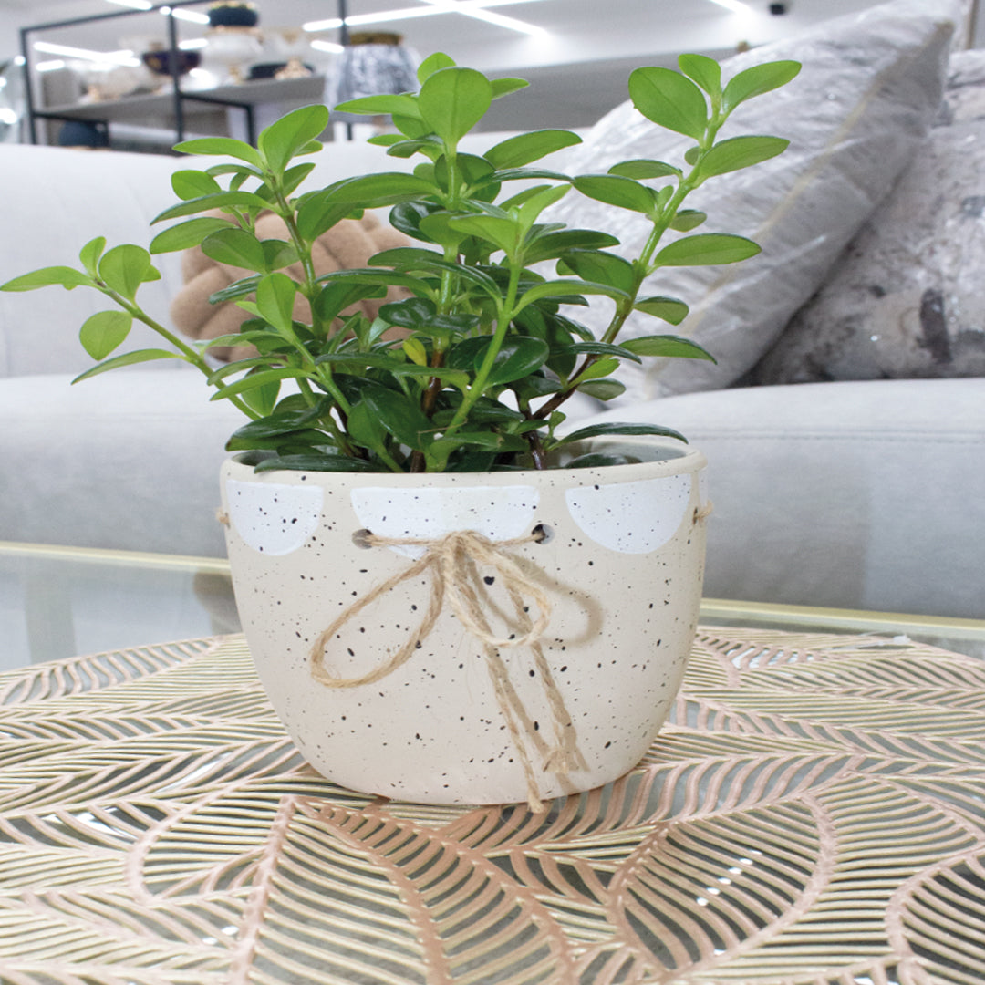 POTE DECORATIVO EN BARRO