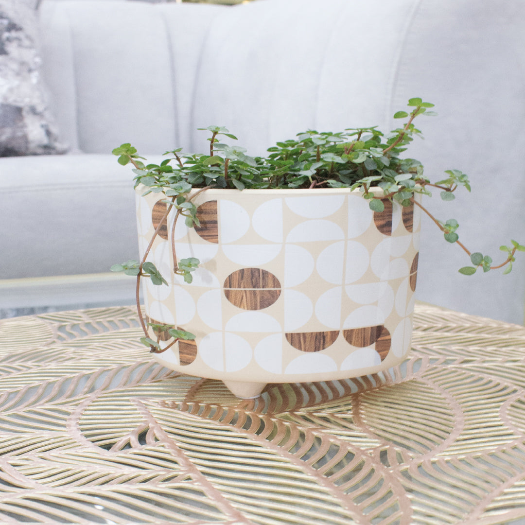 POTE DECORATIVO EN BARRO